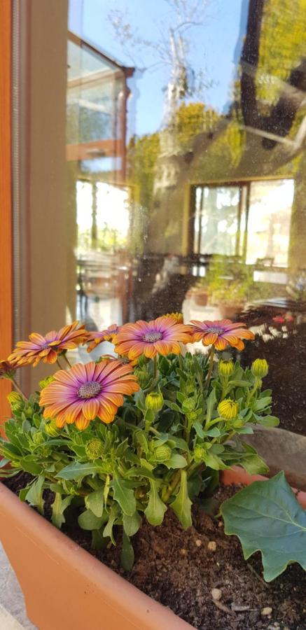 Agriturismo La Mandragola Relais Crotone Dış mekan fotoğraf