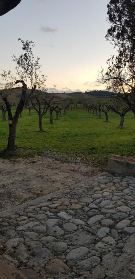 Agriturismo La Mandragola Relais Crotone Dış mekan fotoğraf