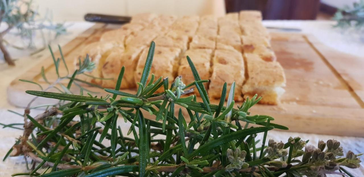 Agriturismo La Mandragola Relais Crotone Dış mekan fotoğraf