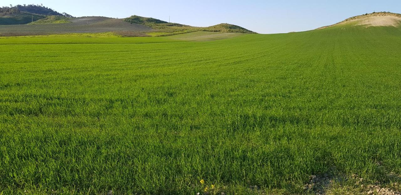 Agriturismo La Mandragola Relais Crotone Dış mekan fotoğraf