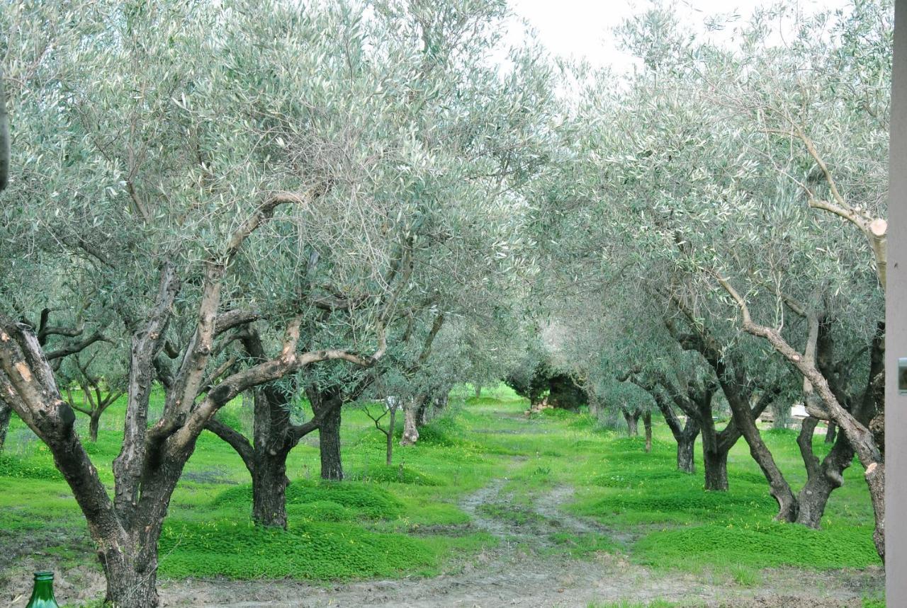 Agriturismo La Mandragola Relais Crotone Dış mekan fotoğraf